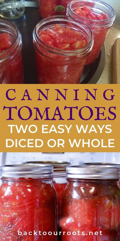 Tomato harvest getting out of hand? Yay! That means there's more to put in the canning pantry. Let me walk you through canning tomatoes in 2 easy ways: diced or whole. Canning Pantry, Salsa Canning Recipes, Canning Tomatoes Recipes, Tomato Harvest, Can Food, Easy Canning, Pressure Canning Recipes, Canning Fruit, Canning Whole Tomatoes