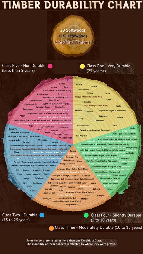 Moisture—whether from rain or sea spray— UV rays, temperature changes, and pesky insects work in concert to impact how long a piece of wood can last outdoors. These gate-makers from Britain have a handy chart to help determine which wood to use. (Note: this is NOT a chart of the woods' hardness). Potato Bin, Steel Architecture, Wooden Ideas, Hacks Ikea, Hardwood Lumber, Shop Class, Woodworking Box, Woodworking For Kids, Learn Woodworking
