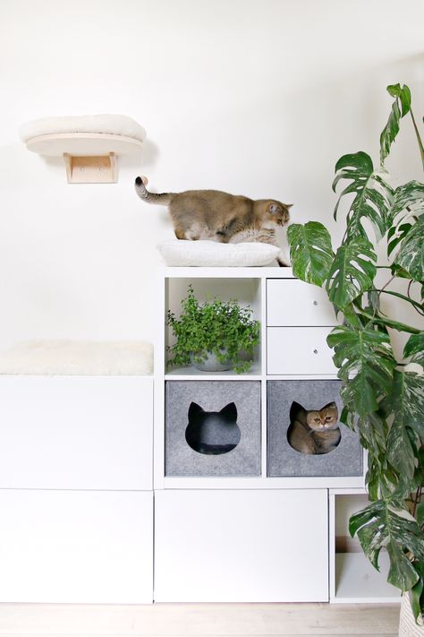 20+ Easy IKEA Hacks for Cats (and Cat Parents!) - Whiskers Magoo Kallax Cat House, Kallax Cat Bed, Diy Cat Cubby, Cat Kallax Hack, Ikea Kallax Cat Hack, Ikea Hack Cat Tree, Kallax Cat Hack, Ikea Cat Hack, Bookshelf Cat Tree