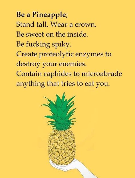 Pineapple Pool Party, Cheer Up Funny, Hawaii Trip Planning, Pineapple Illustration, Be A Pineapple, Cheer Up Quotes, Book Haul, American Gods, Up Quotes