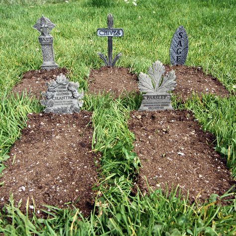 Herb Graveyard Spooky Plant, Witchy Garden, Old Cemetery, Tattoo Plant, Goth Garden, Gothic Garden, Old Cemeteries, Garden Steps, Plant Markers