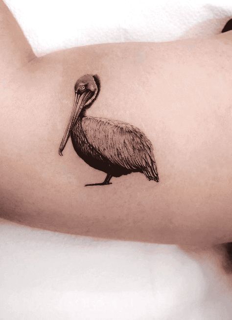 Pelican Tattoo Design Images (Pelican Ink Design Ideas) Florida Wildlife Tattoo, Pelican Tattoo For Women, Pelican Tattoo, Themed Tattoos, Tattoo Catalog, Jellyfish Tattoo, Semicolon Tattoo, Nautical Tattoo, Family Tattoo