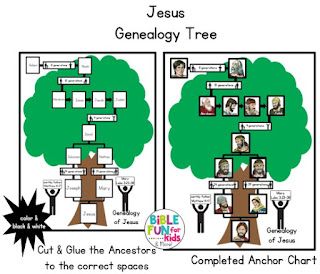 Jesus Family Tree, Family Tree Activity, Bible Class Activities, Genealogy Crafts, Ruth Bible, Family Tree For Kids, Genealogy Tree, Family Tree Craft, Preschool Family