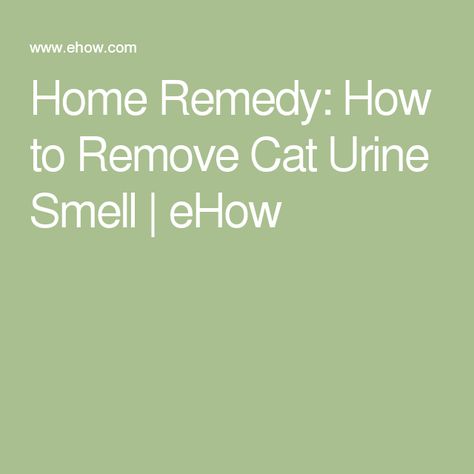 Home Remedy: How to Remove Cat Urine Smell | eHow Cleaning Cat Urine, Remove Cat Urine Smell, Pet Urine Smell, Dog Pee Smell, Cat Urine Remover, Cat Pee Smell, Smell Remover, Cat Urine Smells, Pee Smell