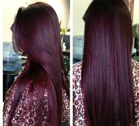 Tono rojizo violeta Pelo Color Borgoña, Pelo Color Vino, Undercut Haircut, Plum Hair, Violet Hair, Hair Color Burgundy, Dark Red Hair, Hair Color Shampoo, Burgundy Hair