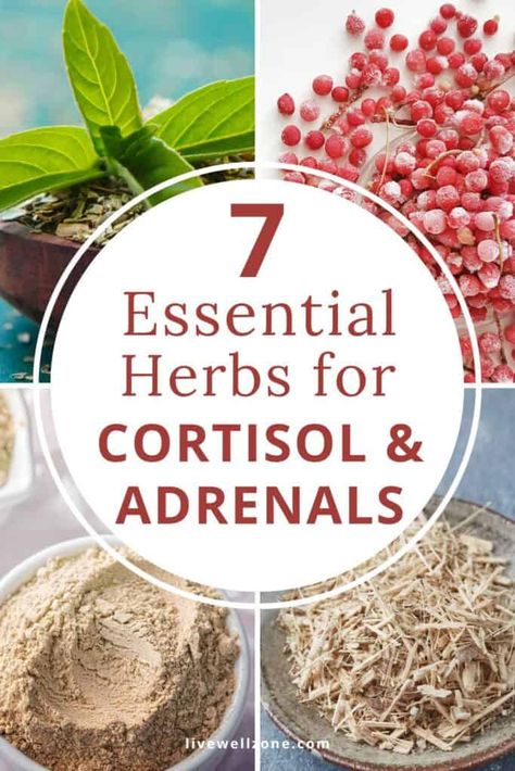 Struggling with the effects of high cortisol and stress (such as cortisol belly or meno belly)? Adaptogens are a category of hormone balance supplements that can be very helpful. Learn how they can support adrenal function and improve various signs of hormonal imbalance. Herbs For High Cortisol, Cortisol Foods, Cortisol Detox Diet, Meno Belly, Hormone Balance Supplements, Cortisol Blocker, Cortisol Supplements, Cortisol Diet, Cortisol Imbalance