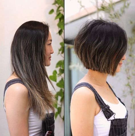 Wash And Go Haircuts, Haircuts Thick Hair, Low Maintenance Short Hair, 2023 Bob Haircuts, Asian Bob Haircut, Textured Bobs, Healing Naturally, Bob Ideas, Bob Haircut For Round Face