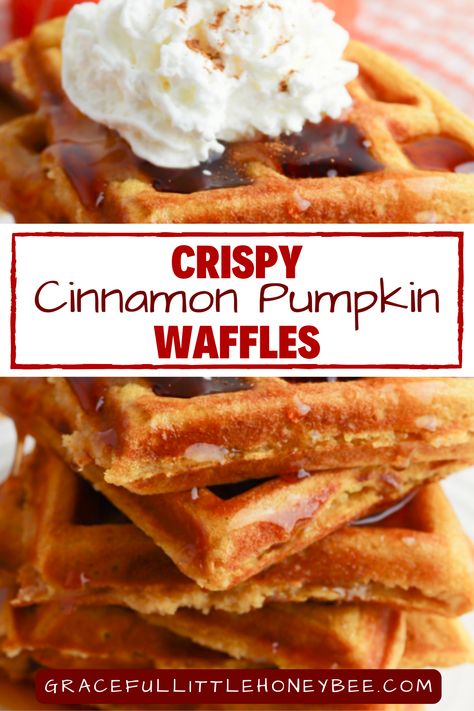 Crispy Cinnamon Pumpkin Waffles make a nice crisp outer crust and a light, fluffy middle that is sure to please even the pickiest of eaters on a cold morning. They are sure to fill you up and keep you going; plus, pumpkin is chocked full of vitamins and nutrients, giving you a healthy boost at breakfast. Pumpkin Waffles Healthy, Easy Breakfast Smoothies, Pumpkin Recipes Healthy, Brunch Inspiration, Yummy Healthy Breakfast, Hashbrown Recipes, Pumpkin Waffles, Fall Dessert Recipes, Healthy Pumpkin