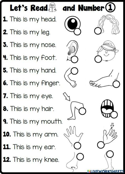 Parts Of Our Body Worksheet, Match The Body Parts Worksheet, Parts Of Body Worksheet For Kindergarten, Part Of The Body For Kids, Parts Of The Body For Kids Worksheet, Part Of Body For Kids, Body Parts Worksheet For Grade 1, Body Parts For Kids Worksheets, My Body Activities For Kids