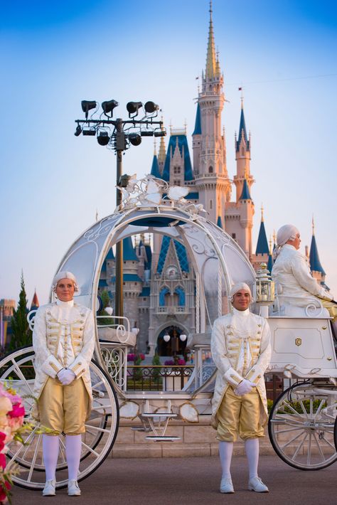 Cinderella's Coach awaits at Magic Kingdom's East Plaza Garden Cinderella Wedding Cake, Cinderella Coach, Disney Princess Wedding, Real Life Princesses, Disney World Wedding, Disney Wedding Theme, Disney Fairy Tale Weddings, Cinderella Wedding, Disney Fairy