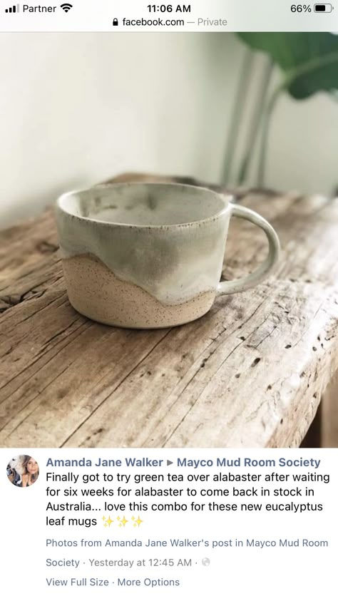 Mayco Alabaster Glaze, Mayco Alabaster Glaze Combinations, Mayco Green Tea Glaze Combinations, Alabaster Glaze Combinations, Green Glaze Combinations, Mayco Alabaster, Mayco Green Tea, Mayco Stoneware Glaze Combinations, Pottery Glaze Ideas Color Combos