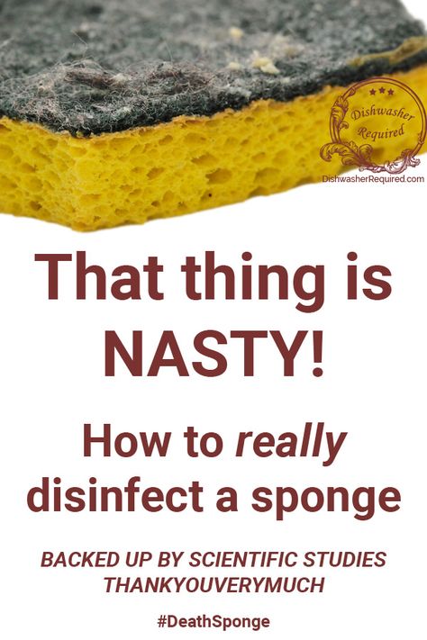 How To Clean A Sponge, Exfoliating Sponge, Kitchen Sponge, Sponge Cleaning, Washing Dishes, Prove It, Clean Kitchen, The Science, Cleaning Tips