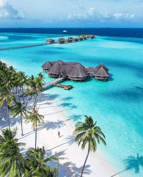 Travel | Nature | Vacation on Instagram: “❤Double Tap❤ if you wish you were here. . . Follow - @worlds_travel7 Follow - @worlds_travel7 📷:-@michutravel Note- I'm not owner this…” Maldives Wallpaper, Maldives Aesthetic, Palawan Island, Best Countries To Visit, Maldives Island, Maldives Travel, World Wallpaper, Adventure Travel Explore, Places In The World