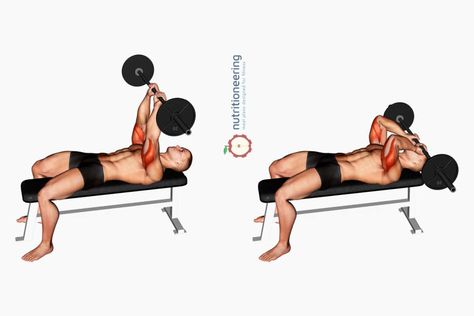 Barbell Tricep Exercises Skull Crusher Skull Crushers Exercise, Scull Crusher Exercise, Skull Crusher Exercise, Tricep Exercises, Skull Crushers, Resistance Training Workouts, Tricep Workout, Tricep Kickback, Push Day