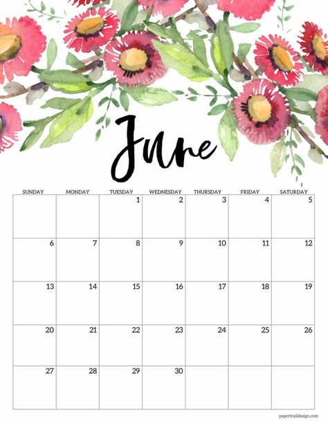 Free Printable 2021 Floral Calendar | Paper Trail Design Girly Calendar, June Calendar Printable, Free Blank Calendar, June Calendar, Paper Trail Design, Floral Calendar, Calendar June, Trail Design, Free Calendar