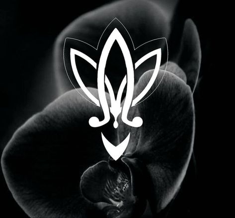 Iris Logo, Iris Logo Design, Lily Flower Logo, Orchid Logo Design Ideas, Lotus Logo Symbols, Lotus Flower Logo, Black Iris, Brand Guide, Art Drawings Sketches Creative