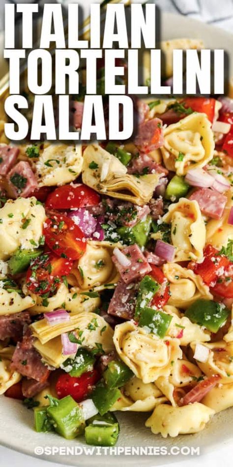 When it comes to pasta salads, it doesn't get better than this cold and creamy Italian Tortellini Salad! Colorful veggies and tasty filling make this the best side dish at the potluck! #spendwithpennies #italiantortellinisalad #tortellinisalad #sidedish #recipe #cold #creamy #easy #pasta #best Tortellini Pasta Salad With Mozzarella Balls, Gourmet Salads Summer, Healthy Tortellini Pasta Salad, Italian Grinder Pasta Salad The Modern Nonna, Filling Pasta Salad Recipes, Fall Tortellini Salad, Tortellini Antipasto Salad, Totillinie Pasta, Tortellini Pasta Salad Balsamic