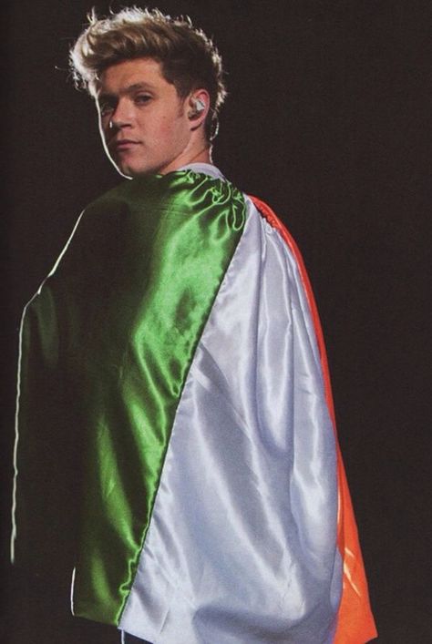 Niall with an Irish Flag One Direction Fotos, Four One Direction, Niall Horan Baby, Gambar One Direction, One Direction Wallpaper, One Direction Photos, Irish Princess, Irish Boys, Concert Outfits