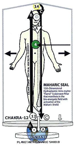 Keylontic Dictionary 2 Morphogenetic Field, Arc Of The Covenant, Human Dna, Accel World, Sacred Science, Energy Work, Life Form, Healing Process, Field Guide