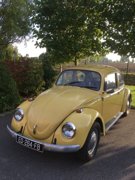 Yellow is beautiful Yellow Car Aesthetic, Yellow Beetle Car, Yellow Cars Aesthetic, Vibe Yellow, Yellow Cars, 60s Cars, 50s Cars, Bug Car, Beetle Car