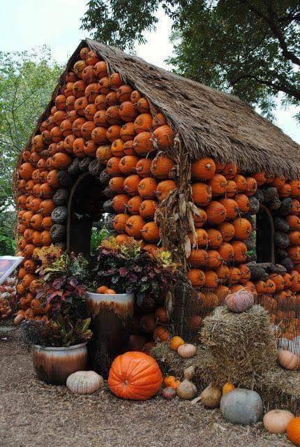 How about a rustic cabin made out of pumpkins??? So cute! Pumpkin House, Autumn Decorating, Fabulous Fall, Autumn Beauty, Fall Favorites, Fall Harvest, Fall Fun, Autumn Inspiration, Fall Thanksgiving