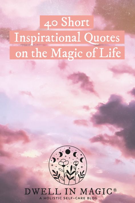 Need some comfort or inspiration? The following quotes are short, powerful and will remind you of what's true and beautiful about this life. #inspirationalquotes #shortquotes #powerfulquotes #quotes #dwellinmagic Following Quotes, Magical Quotes, Grounding Techniques, Magic Quotes, When You Believe, Life Quotes Love, Short Inspirational Quotes, Reading Quotes, Witchy Woman