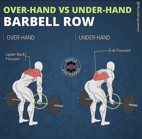 Workout Structure, Bent Over Row, Back Workout Routine, Workout Gym Routine, Barbell Row, Lifestyle Hacks, Gym Workout Planner, Bodybuilding Workout Plan, Gym Workout Chart