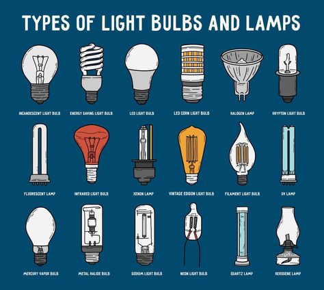 Types of light bulbs and lamps set in doodle style. Vector icons collection of electric lighting fixtures. Incandescent, energy-saving, LED and fluorescent lightbulbs infographic on a blue background. Types Of Light Bulbs, Types Of Lamps, Filament Bulb Lighting, Neon Lamp, Incandescent Light Bulb, Light Bulb Lamp, Fluorescent Lamp, Electric Bulb, Doodle Style