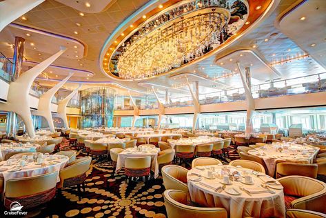 7 Tips for Eating and Dining on Cruises Cruise Tips Royal Caribbean, Royal Caribbean Cruise Lines, Cruise Life, Coffee Restaurants, Princess Cruise Ships, Dinner Restaurants, Princess Cruise, Architect Design House, Cruise Lines