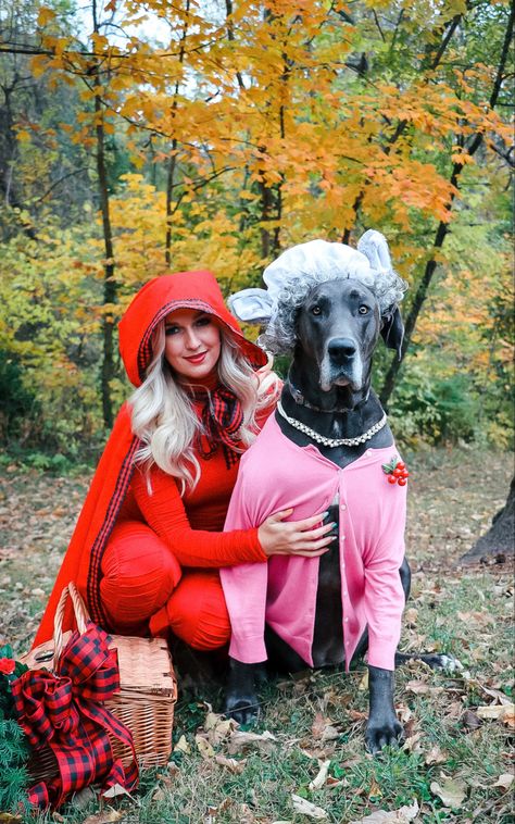 Great Dane Halloween Costumes Diy, Dog Wolf Costume, Couples And Pet Costumes, Duo Halloween Costumes With Dog, Diy Dog And Owner Costumes, Halloween Dog Costume With Owner, Large Dog Costume Ideas, Dog Diy Costumes, Halloween Costume Dog And Owner