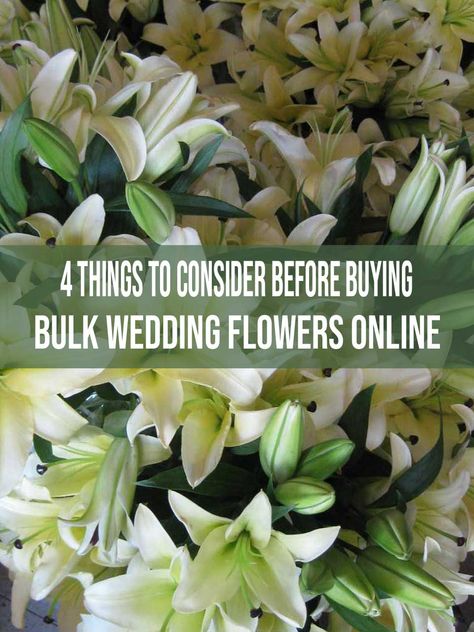 Bulk Flowers Online, Wilted Flowers, Bulk Wedding Flowers, Fun Mail, Flower Company, Diy Wedding Flowers, Buy Flowers, Local Florist, Wholesale Flowers