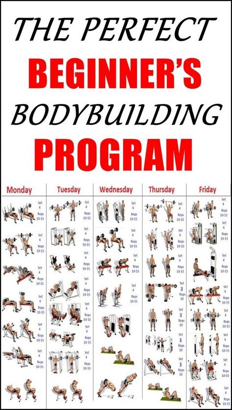 THE PERFECT BEGINNERS BODYBUILDING PROGRAM #LowerBackPain | Bodybuilding program, Worko… | Bodybuilding program, Workout plan for beginners, Workout routine for men Beginner Workout For Men, Beginner Exercise, Bodybuilding Tips, Workout Gym Routine, Gym Plan, Workout Plan For Men, Bodybuilding Workouts Routines, Bodybuilding Program, Gym Workout Planner