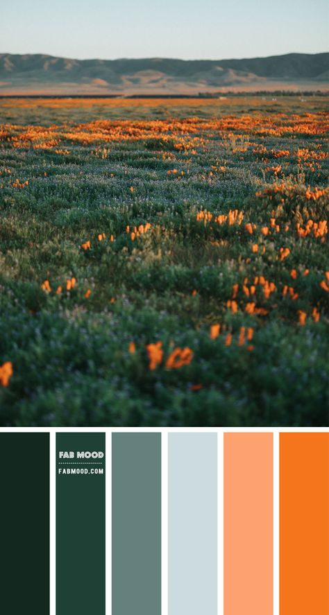 Jewel Tones Colour Combo – Colour Palette #96 1 - Fab Mood | Wedding Colours, Wedding Themes, Wedding colour palettes Wedding Colour Palettes, Fab Mood, Mood Wedding, Teal Color Palette, Orange Color Schemes, Themes Wedding, Orange Color Palettes, Wedding Colours, Color Schemes Colour Palettes