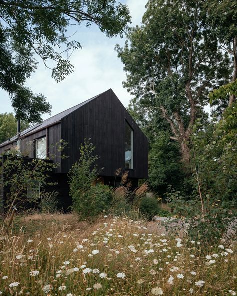 HAPA Architects clads South Downs eco-home in charred timber Timber Planks, Larch Cladding, Black Houses, Steel Barns, Passive Solar Design, Bungalow Renovation, South Downs, Solar Design, Reduce Energy