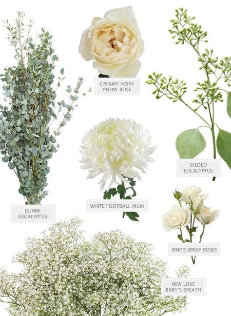 This makes the prettiest bouquet! See how to make it here  #flowers #weddingflowers #popularflowers #flowerideas  #weddingflowerarrangements #weddingflowersideas Woodlands Wedding, Fifty Flowers, White Spray Roses, Fresh Wedding Flowers, Wedding Glamour, Prettiest Bouquet, Popular Flowers, Flower Names, Winter Weddings