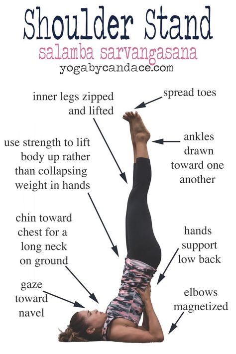 Ashtanga Vinyasa Yoga, Shoulder Stand, Yoga Beginners, Yoga Posen, Yoga Iyengar, Yoga Moves, Yoga Exercises, Qi Gong, Ashtanga Yoga