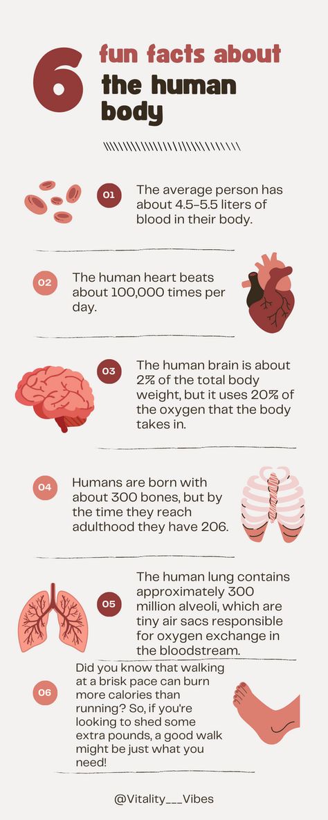 Human Body Facts, Human Lungs, Facts About Humans, Anti Oxidant Foods, The Human Heart, Healthy Lungs, Facts You Didnt Know, Body Hacks, Fascinating Facts