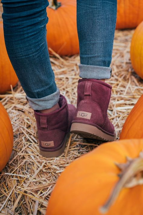 On the hunt to find the best pumpkin. Happy Halloween! Boots Leggings Outfit, Boots Leggings, Ugg Snow Boots, Ugg Boots Outfit, Uggs With Bows, Burgundy Boots, Ugg Women, Ugg Classic Mini, Uggs Outfit