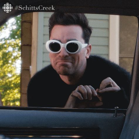 Any Time He Wore These Sunglasses | Best David GIFs From Schitt's Creek | POPSUGAR Entertainment Photo 11 Rosé Gifs, Daniel Levy, David Rose, Teacher Memes, Schitts Creek, Brutally Honest, Pep Talks, Teacher Humor, Dad Jokes