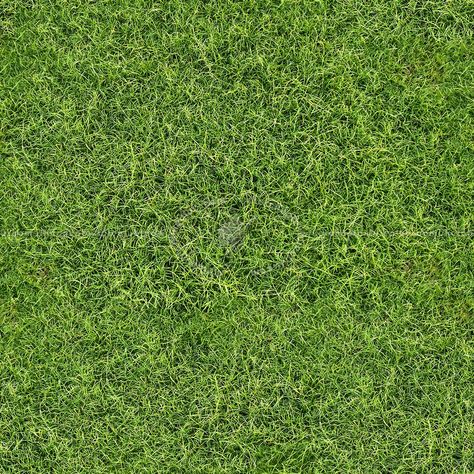 Green grass texture seamless 13048 Grass Texture Seamless, Grass Photoshop, Grass Texture, Too Faced Eyeshadow, Frame Wall Collage, Floor Texture, Tile Texture, Grass Flower, Sketchup Model