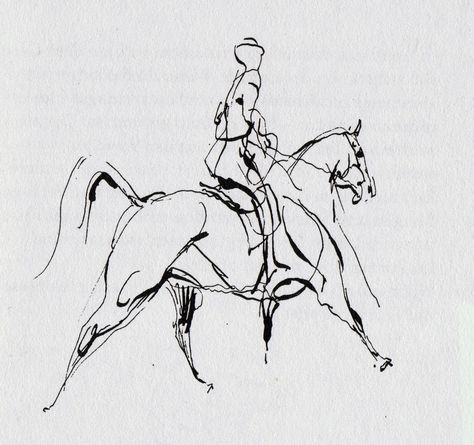 from the 1977 book  “Reitvorschrift fuer eine Geliebte” (Riding Rules for a Lover) 심플한 그림, Horse Sketch, Pen Drawings, Drawing Examples, Animation Sketches, Charcoal Art, Horse Drawing, Horse Drawings, Gesture Drawing