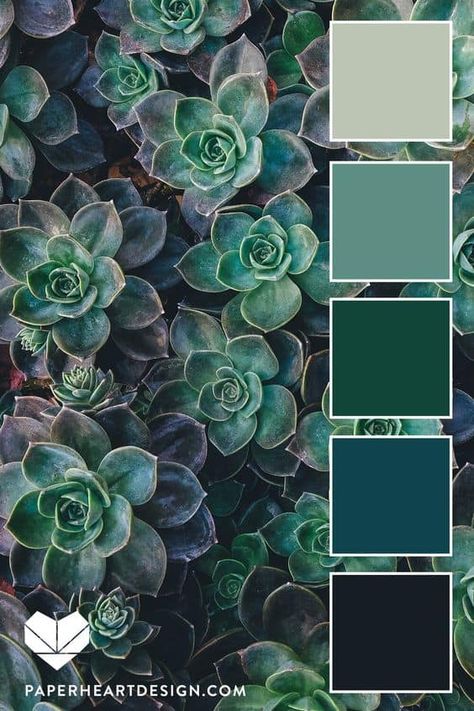 Emerald Green Color Palette – Why You Need It Now! Emerald Palette, Palette Blue, Boho Styl, Color Schemes Colour Palettes, Green Color Schemes, Green Palette, Monochromatic Color Scheme, Eggplant Color, Green Colour Palette