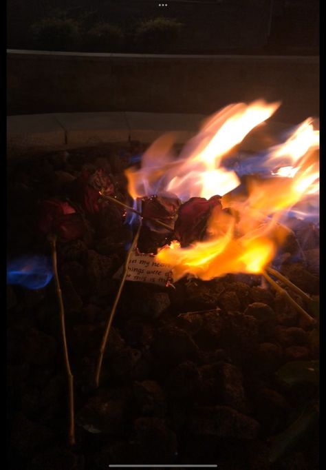 Rose On Fire, Burning Flowers, Burning Love, Lost Love, Love Letter, Something Beautiful, On Fire, My Flower, Campfire