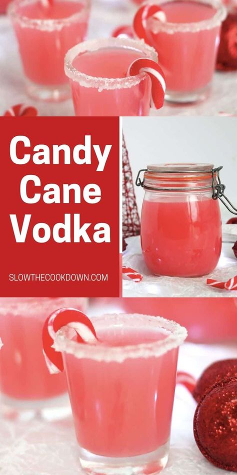 Candy Cane Jello Shots Recipe, Christmas Drinks Shots, Festive Shots Holiday Drinks, Christmas Shooter Ideas, Xmas Shots Alcohol, Candy Cane Vodka Drinks, Infused Vodka Recipes Christmas, Peppermint Infused Vodka, Christmas Infused Vodka