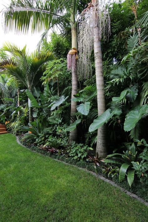 Tropical Backyard Landscaping, Small Tropical Gardens, Bali Garden, Balinese Garden, Tropical Landscape Design, Florida Landscaping, Build Design, Tropical Garden Design, Jungle Gardens