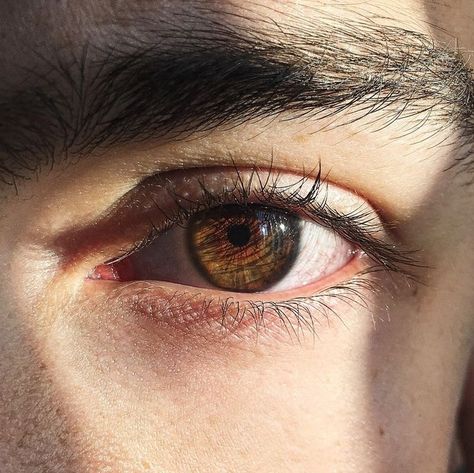 Brown Eye Quotes, Brown Eyes Aesthetic, Brown Eye Boys, Brown Eyes Black Hair, Blonde Hair Brown Eyes, Orange Makeup, Eyeshadow For Brown Eyes, Brown Hair Brown Eyes, Green Makeup