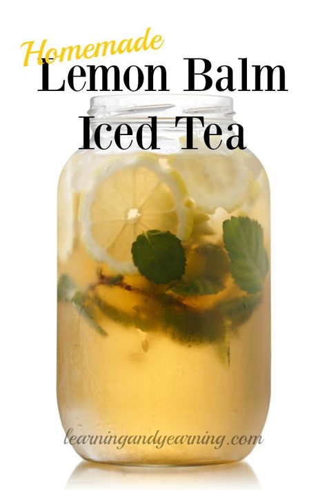 Lemon Balm Iced Tea Recipe, Herbal Eats, Lemon Balm Recipes, Herb Teas, Wild Recipes, Lemon Balm Tea, Water Lemon, Tea Making, Herbal Teas Recipes