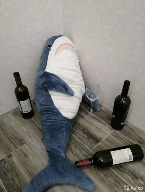 Stuffed Shark, On The Floor, The Floor, Wine, Funny