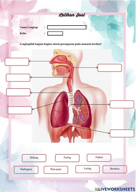 Organ Pernapasan Manusia, Free Printable Valentines Cards, Ice Breaking, Tata Surya, English Stories For Kids, School Study Ideas, Microsoft Office Word, Office Word, Printable Valentines Cards