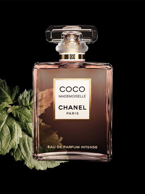 Coco Mademoiselle Intense, Mademoiselle Perfume, Coco Chanel Mademoiselle, Parfum Chanel, Pheromone Perfume, Perfume Collection Fragrance, Chanel Perfume, Signature Fragrance, Luxury Perfume